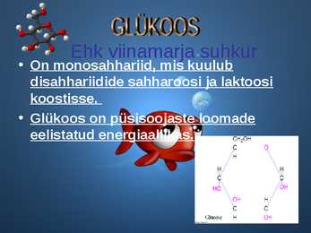 Erinevad süsivesikud #16