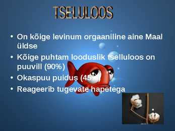 Erinevad süsivesikud #23