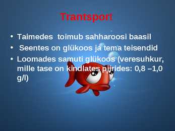 Erinevad süsivesikud #33