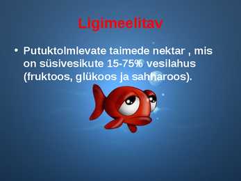 Erinevad süsivesikud #35