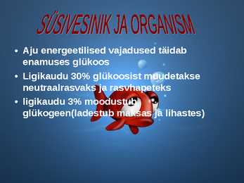 Erinevad süsivesikud #8