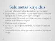 Salumets #2