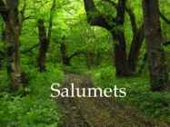 Salumets
