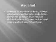 Sölkupid #5