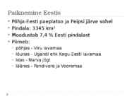 Alutaguse madalik #3