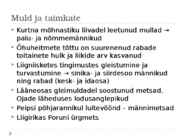 Alutaguse madalik #10