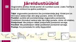 SketchUP presentatsioon #11