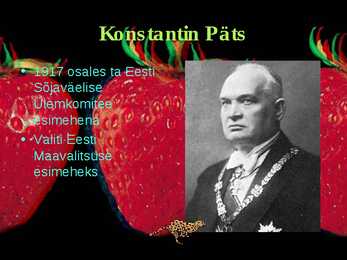 Eesti poliitika 1910-1940 #21