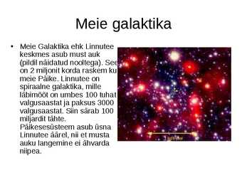 Must auk #4