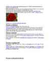 Punane värv #5