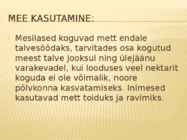 MESI #5