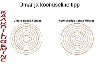 Topograafia #31