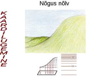 Topograafia #38