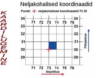 Topograafia #66