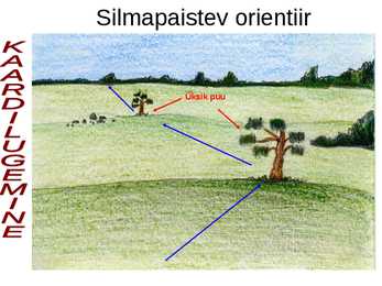Topograafia #91