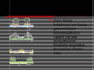 Bioloogiline evolutsioon-Liikide tekkimine #9