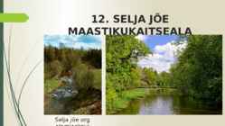 MAASTIKUKAITSEALAD LÄÄNE-VIRUMAAL #14