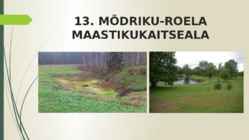 MAASTIKUKAITSEALAD LÄÄNE-VIRUMAAL #15