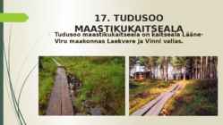 MAASTIKUKAITSEALAD LÄÄNE-VIRUMAAL #19