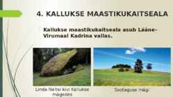 MAASTIKUKAITSEALAD LÄÄNE-VIRUMAAL #6