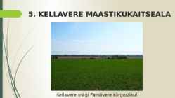 MAASTIKUKAITSEALAD LÄÄNE-VIRUMAAL #7
