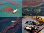 Veereostuse esitlus inglise keeles-Water pollution #2
