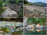 Veereostuse esitlus inglise keeles-Water pollution #8