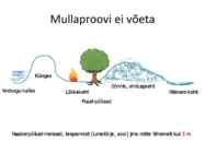 Mullareaktsioon #19