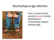 Mullareaktsioon #24