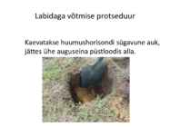 Mullareaktsioon #26