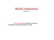 Mullareaktsioon #41
