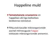 Mullareaktsioon #52