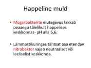 Mullareaktsioon #53