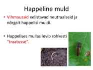 Mullareaktsioon #54