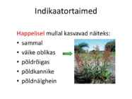 Mullareaktsioon #56