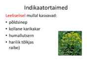 Mullareaktsioon #57