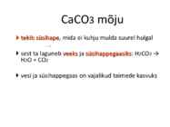 Mullareaktsioon #61