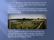 The Palace of Versailles- Versailles-loss #6