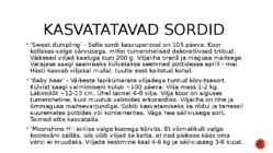 Harilik kõrvits #3