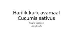 Harilik kurk avamaal