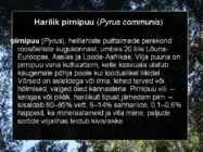 Pirnipuu #2