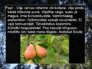 Pirnipuu #12