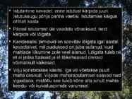 Pirnipuu #14