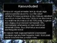 Pirnipuu #3