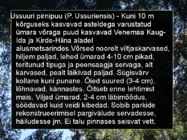 Pirnipuu #6