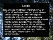 Pirnipuu #8