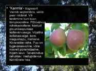 Pirnipuu #10
