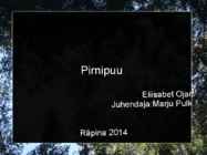 Pirnipuu