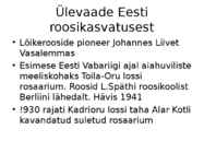 Roos avamaal ja katmikalal #2