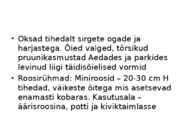 Roos avamaal ja katmikalal #14